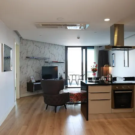 Appartement Lovely One One Bdroom-836 Istambul